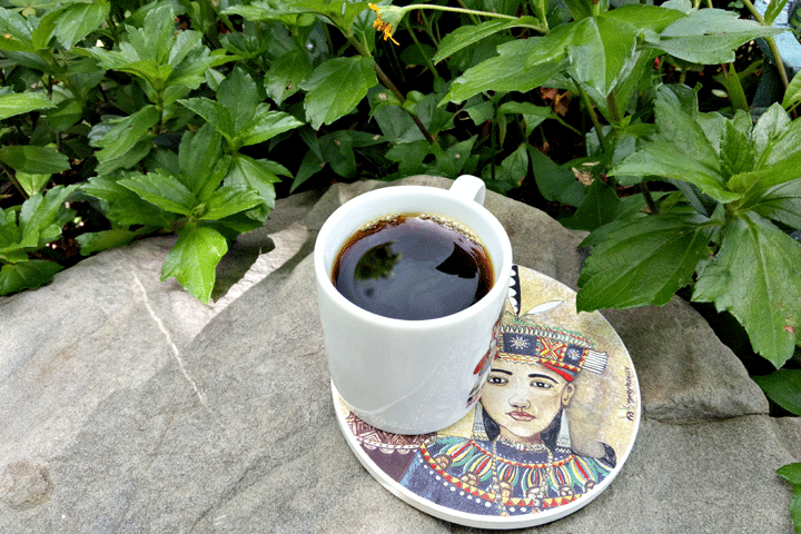 高山上的巴西崗coffee