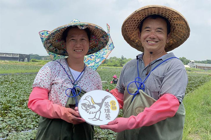 從菱開始的農田保育之路(下) — 向綠保先行者致敬